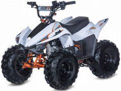 Квадроцикл KAYO AY70 FOX 72 см3 3.1/8000 4-тактний, повітряне охолодження (R &mdash; N &mdash; F) в інтернет магазині