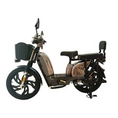 Електричний Велосипед Жіночий E-Delta 800W 60V-15A Lead-Acid шини 17"-17" купити в інтернет-магазині