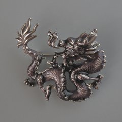 Брошка кулон Дракон коричнева емаль, сріблястий метал 44х37мм купити біжутерію дешево в інтернеті