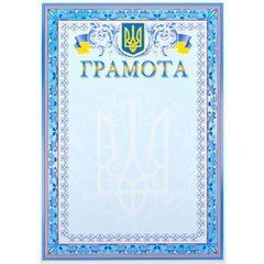 Від 40 шт. Грамота нагородна А4 для заповнення №7