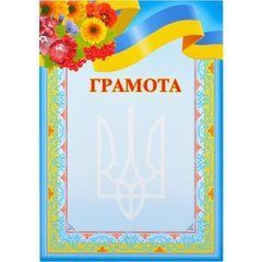 Від 40 шт. Грамота нагородна А4 для заповнення №8