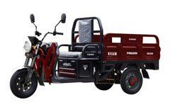 Електричний трицикл із кузовом CORSO Truck CITY-13 800W-60V-45Ah GraFen шини 12"/12" в інтернет магазині