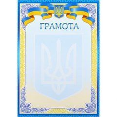 Від 40 шт. Грамота нагородна А4 для заповнення №6
