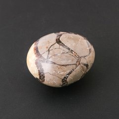 Камень сувенирный Септария ассорти размеров (цена за 100 грамм) купить дешево в интернете